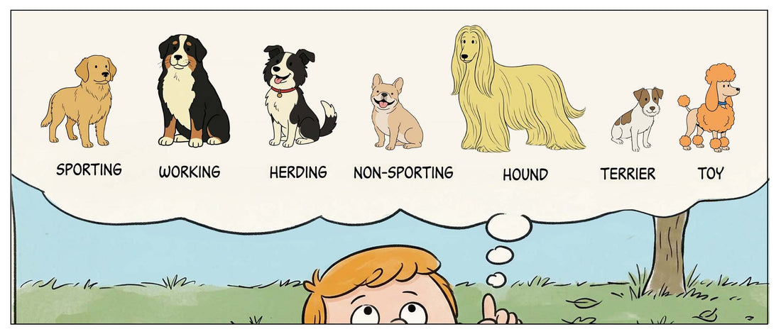 Why AKC Breed Groups Still Shape Your Dog’s Behavior – And the Toys That Actually Match It