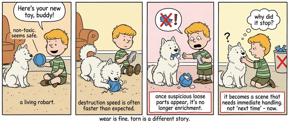 The Misunderstood Role of Dog Toys