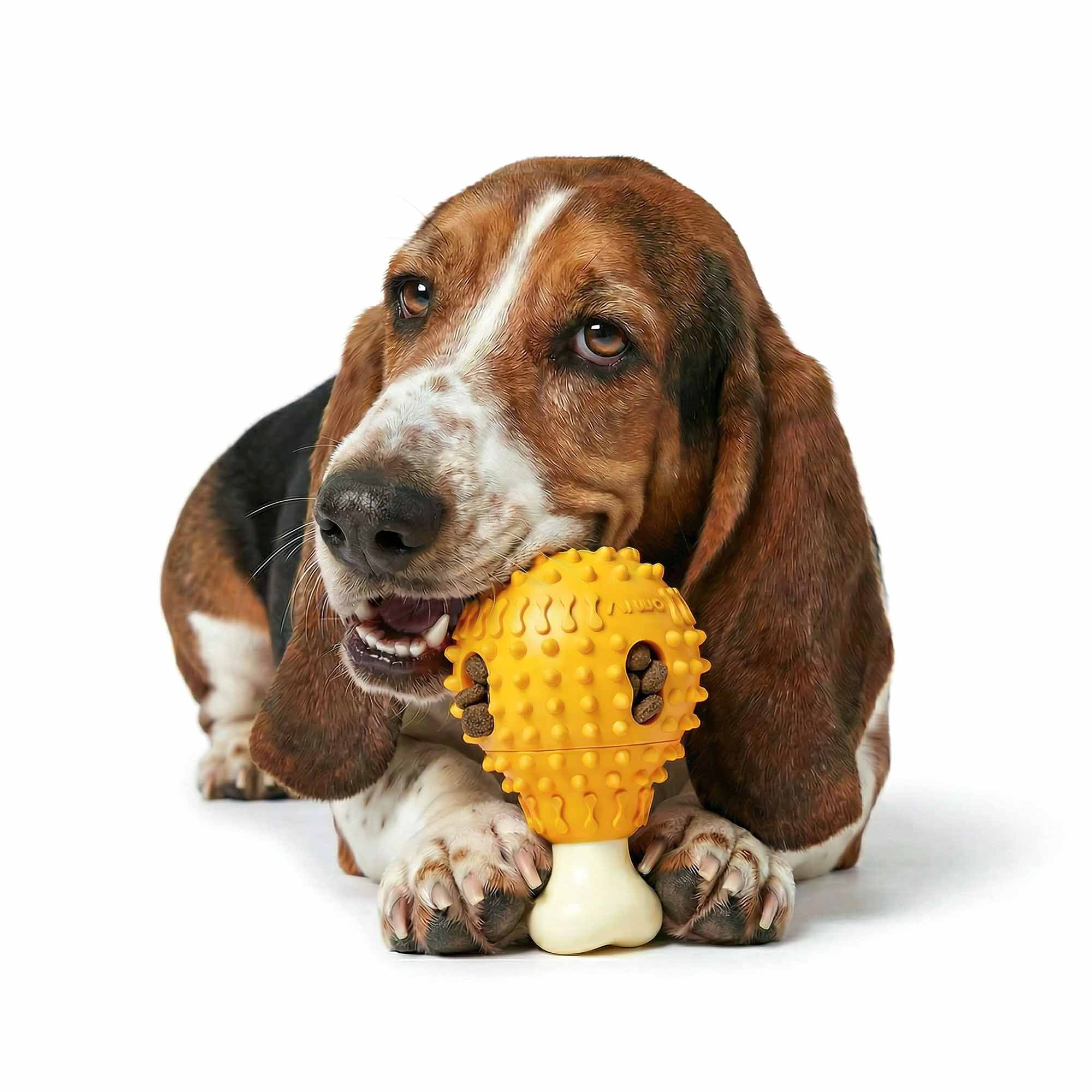 Drumstick Treat Dispensing Dog Chew Toy