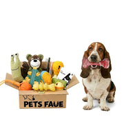 Basset Hound sitting happily with PetsFave Durable Textured Bone Dog Chew Toy in mouth next to a full toy bundle box, perfect dog toy gift set