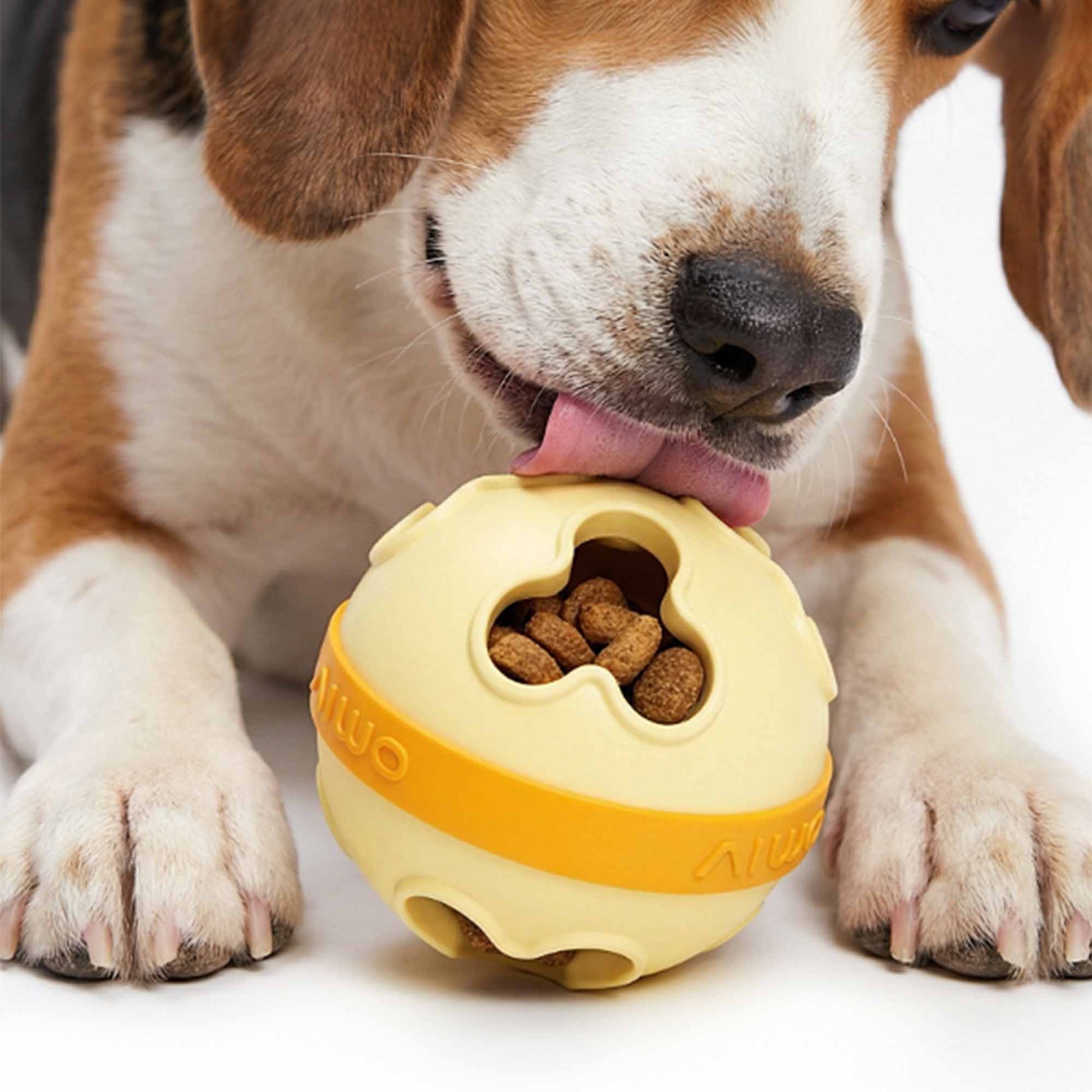 Beagle dog licking treats from yellow TPR dispenser ball toy – slow-release puzzle for mental stimulation and healthy chewing