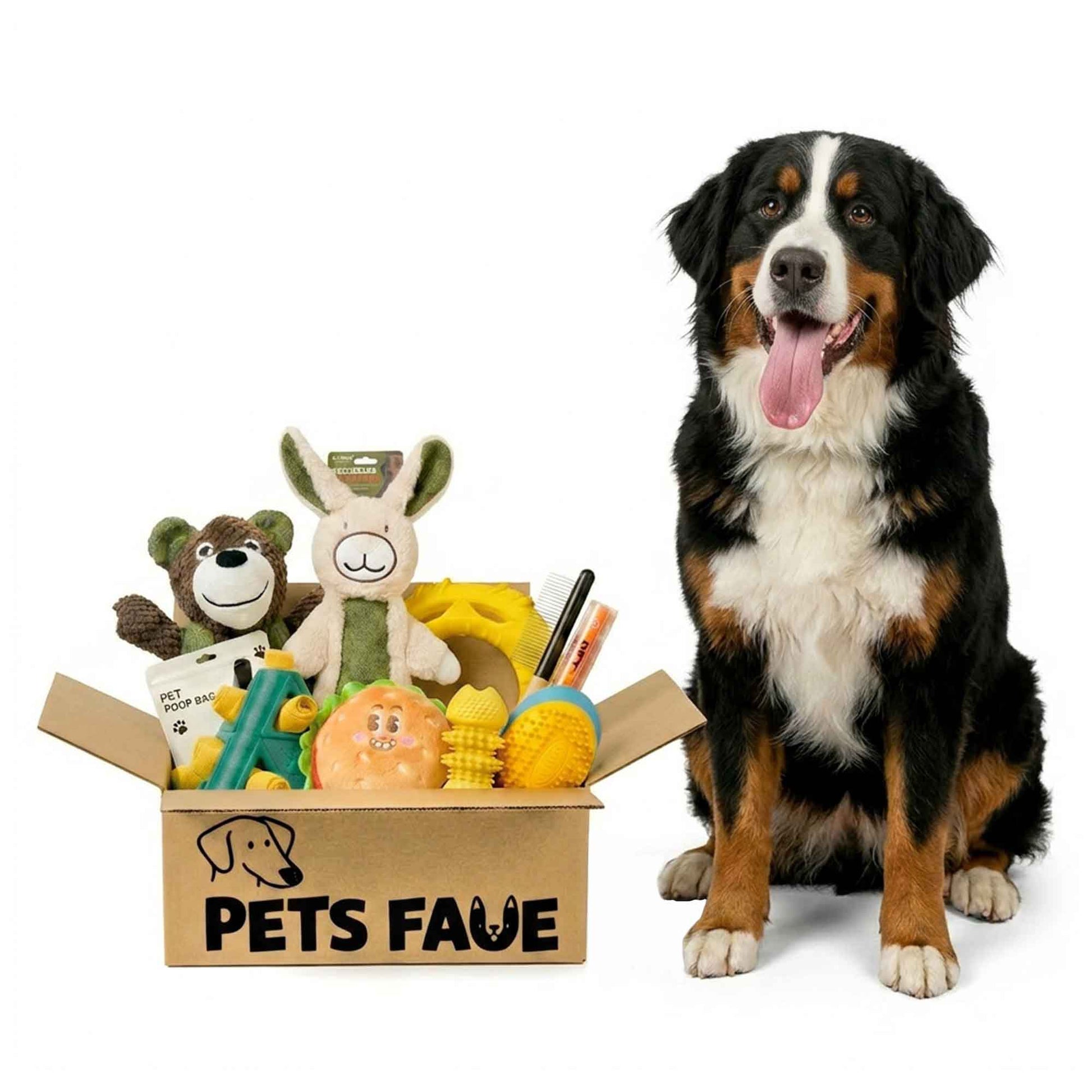 Large Bernese Mountain Dog sitting proudly next to PetsFave toy bundle box containing plush rabbit, bear, burger toy, and dental chews