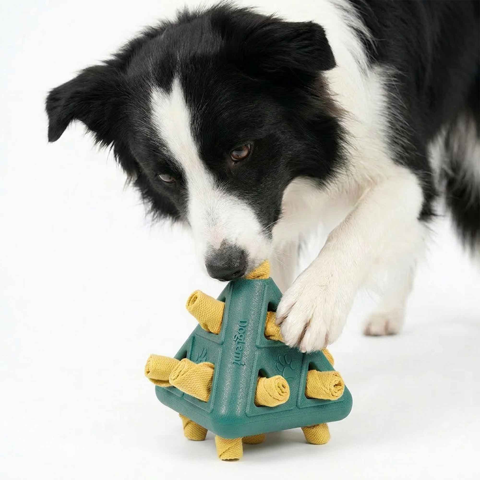 Border Collie dog engaging with pyramid treat dispensing puzzle toy – promotes foraging, problem-solving, and long-lasting mental enrichment