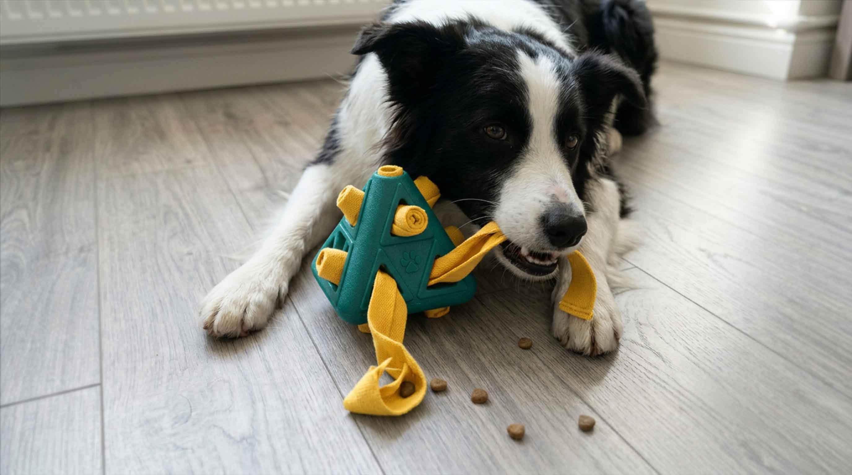 Pets Fave