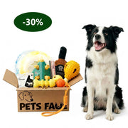 Black and white Border Collie smiling beside PetsFave toy bundle box with plush whiskey bottle, spiky balls, and interactive dog toys
