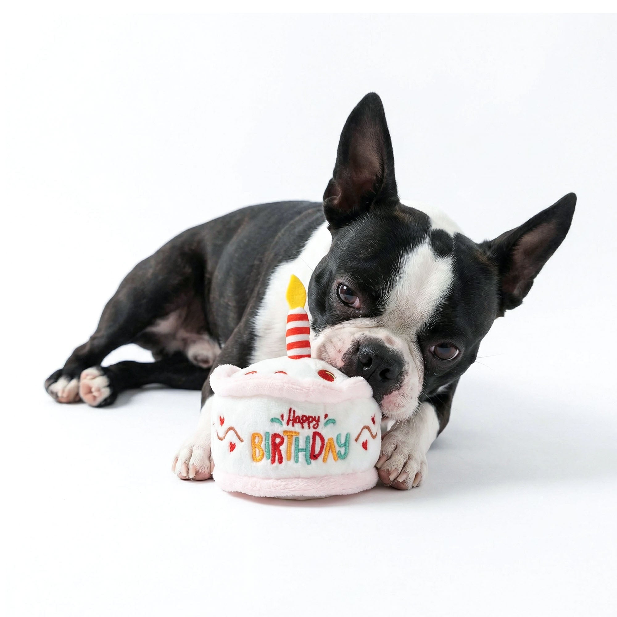 Plush Birthday Cake Dog Toy