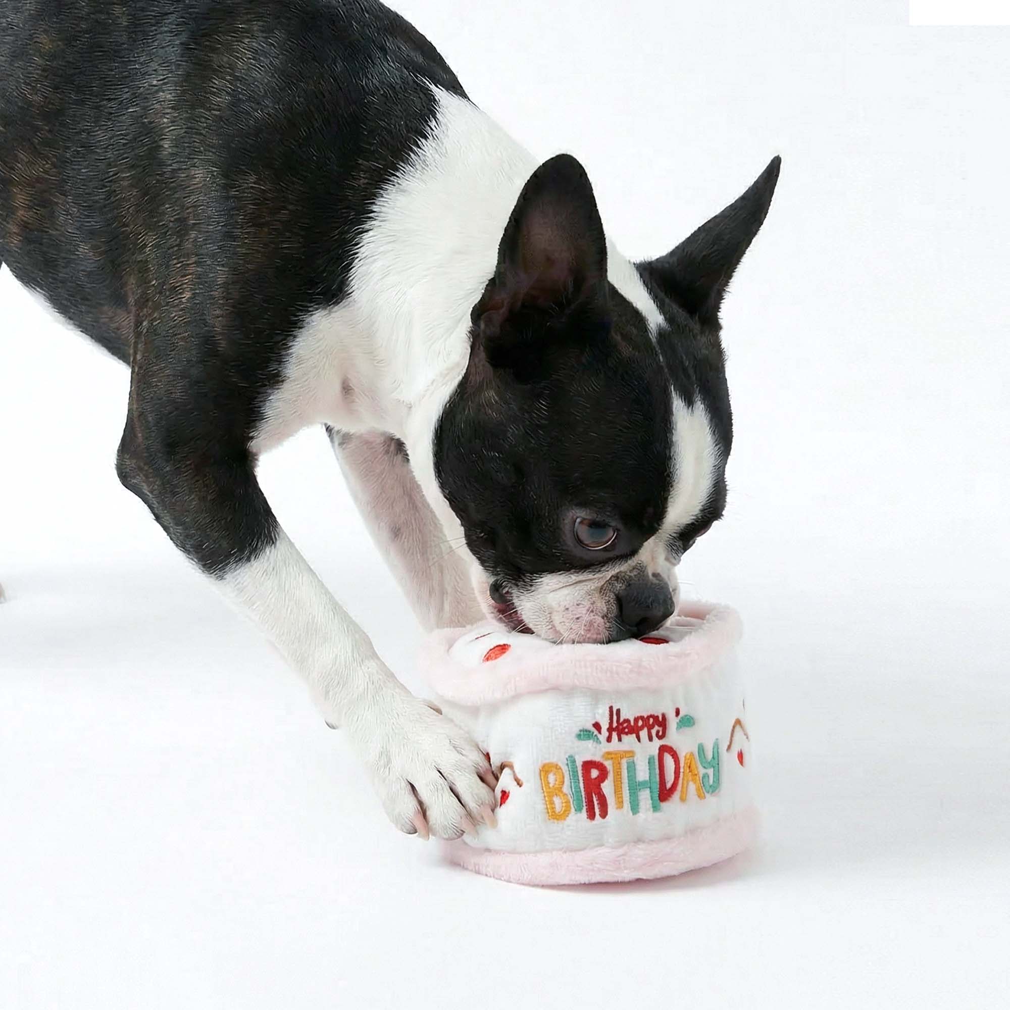 Plush Birthday Cake Dog Toy