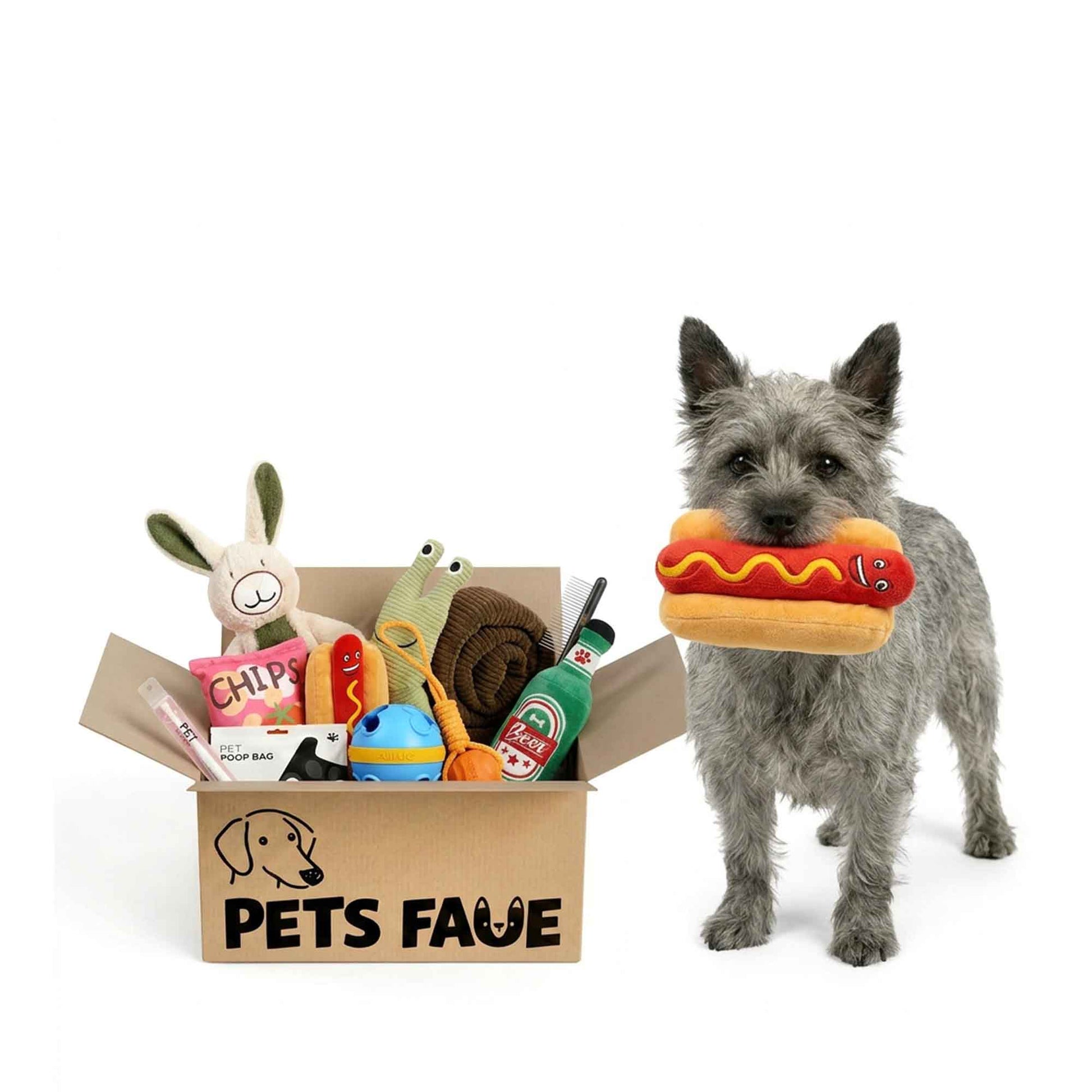 Gray Terrier dog holding a fun hot dog plush toy from PetsFave next to a cardboard toy bundle box filled with dog toys and accessories