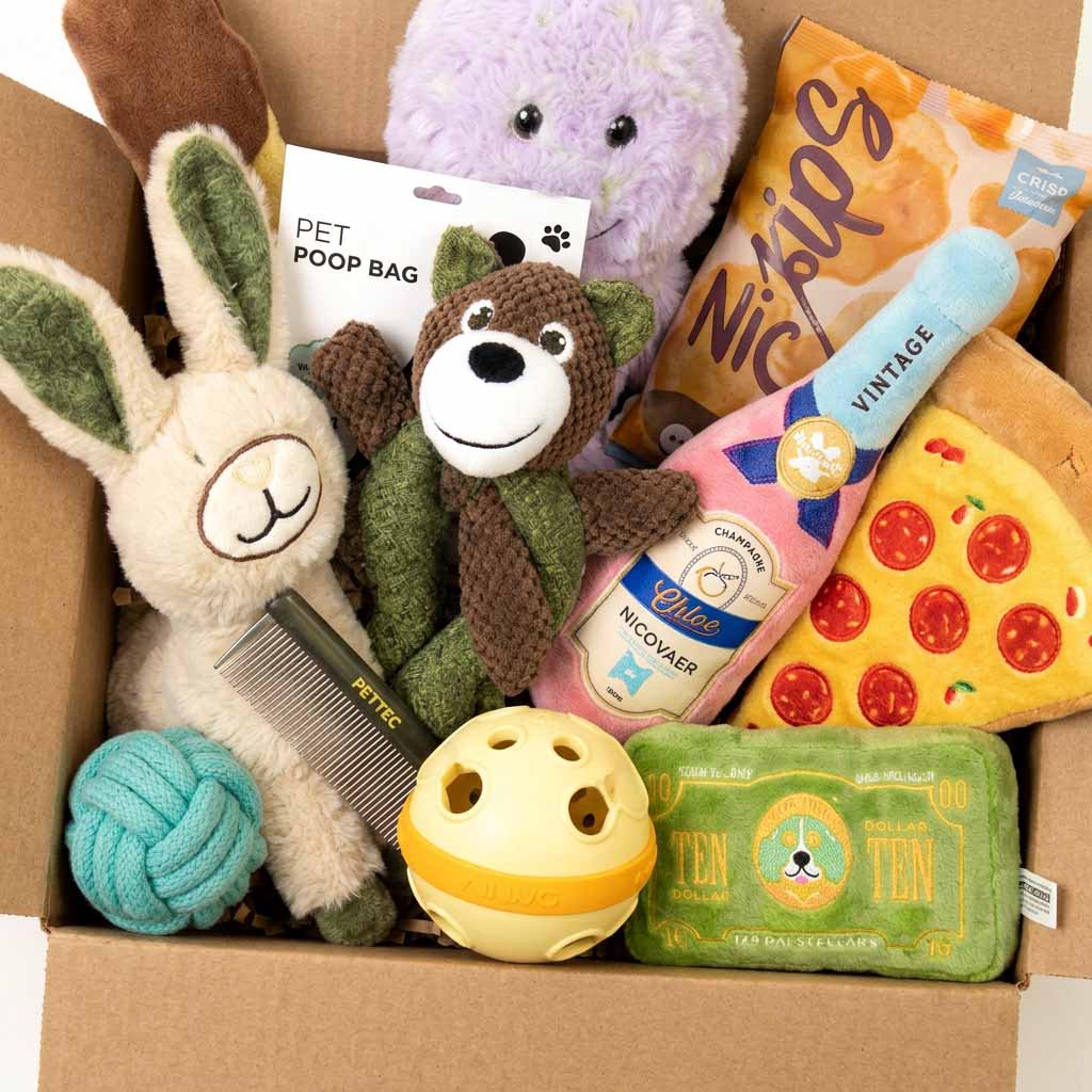 Close up of Dog toy bundle gift box featuring plush toys, interactive toys, chew toys, and accessories curated for different play experiences