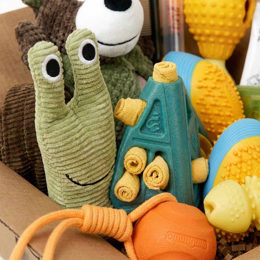 close up of hound dog toy bundle gift box featuring interactive toys, chew toys, plush toys, and enrichment accessories designed for curious and active dogs