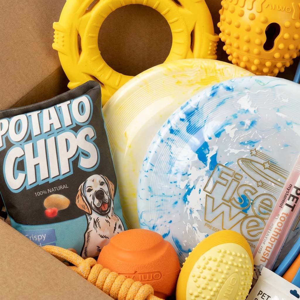 close up of an Open Petsfave cardboard box filled with Sporting Group dog toys including potato chips bag, yellow rings, orange rope toy, AIWO balls, frisbees, toothbrush and poop bags