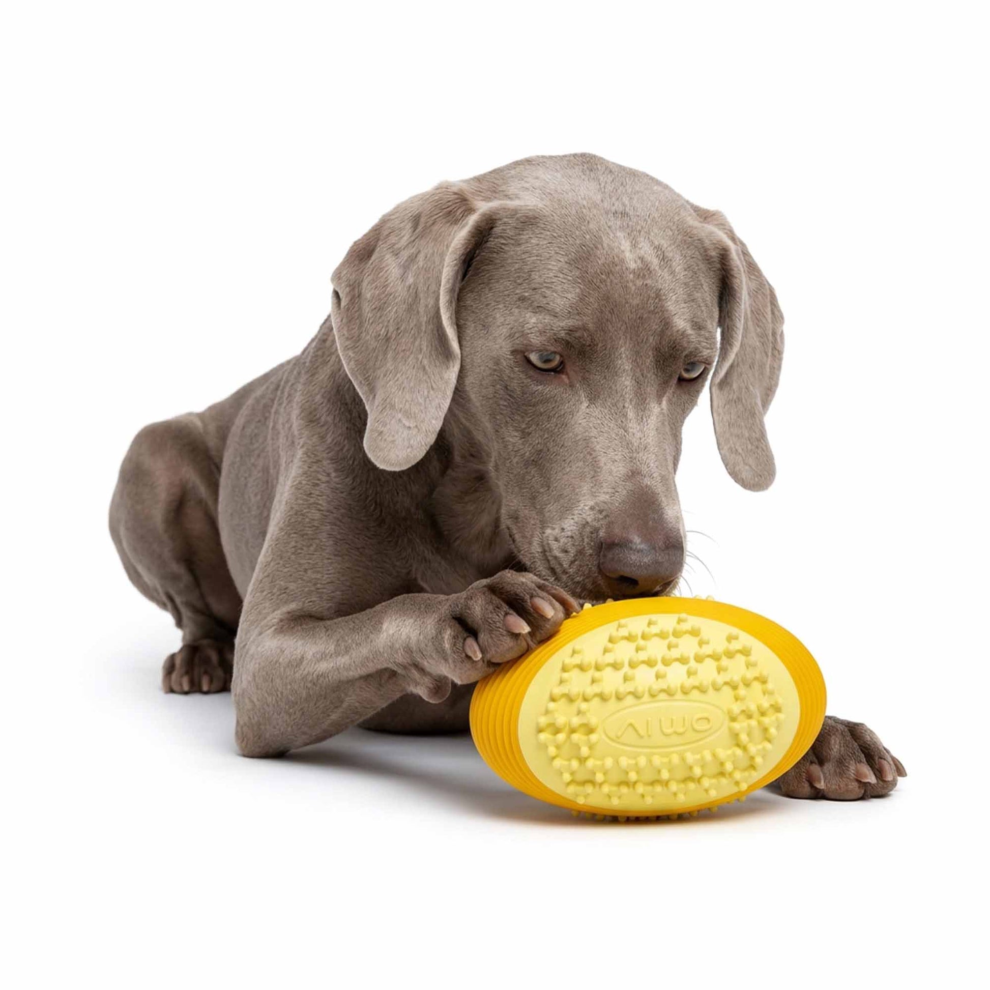 Dog biting Foodball squeaky toy – soft TPR nubs gently clean teeth and massage gums while the loud squeaker encourages longer chewing sessions