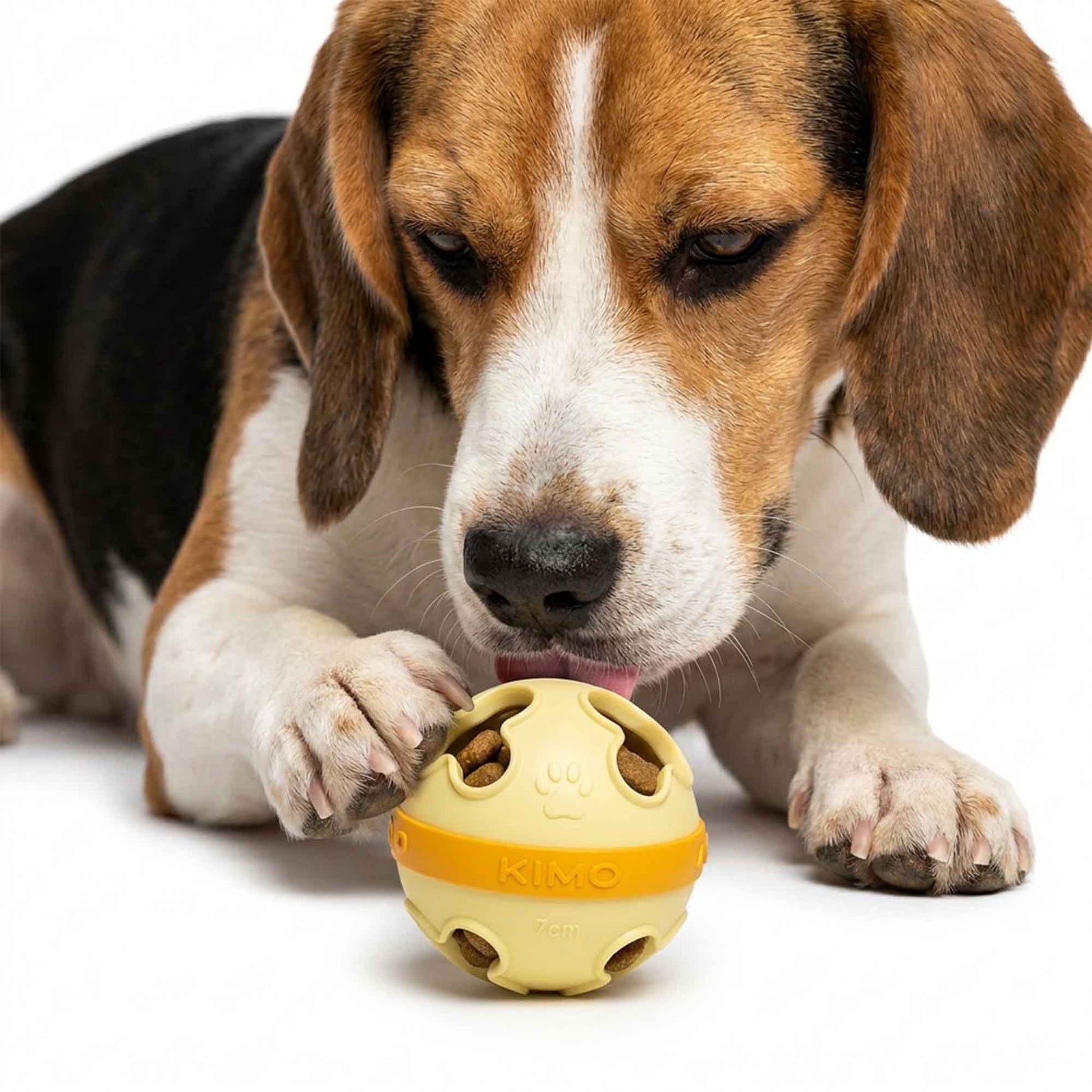 Dog chasing treat dispenser ball toy – irregular unpredictable bounce for exciting fetch and active play in yard or park