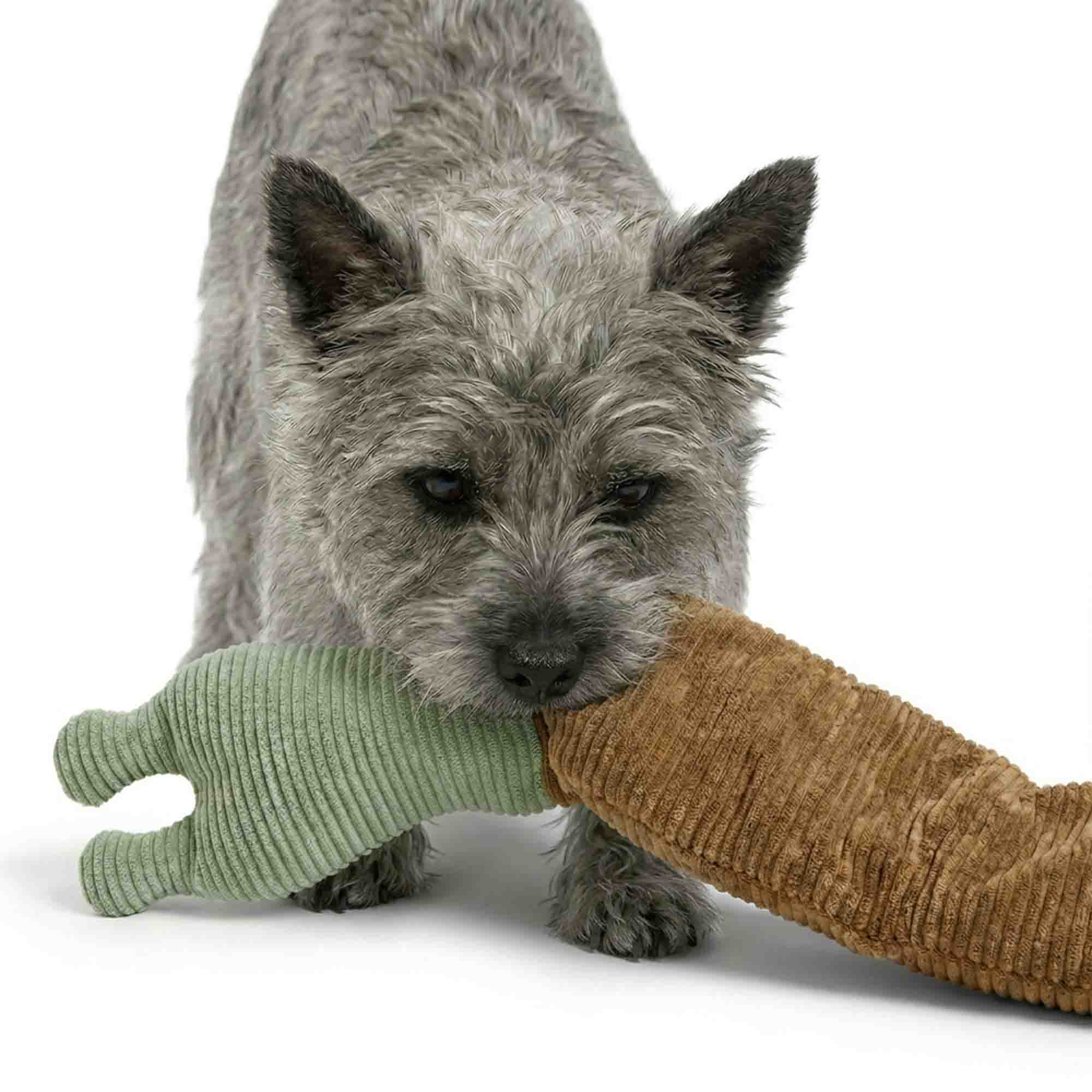 Dog chewing textured corduroy snail treat dispenser toy – soft ribbed surface gently cleans teeth and massages gums during play