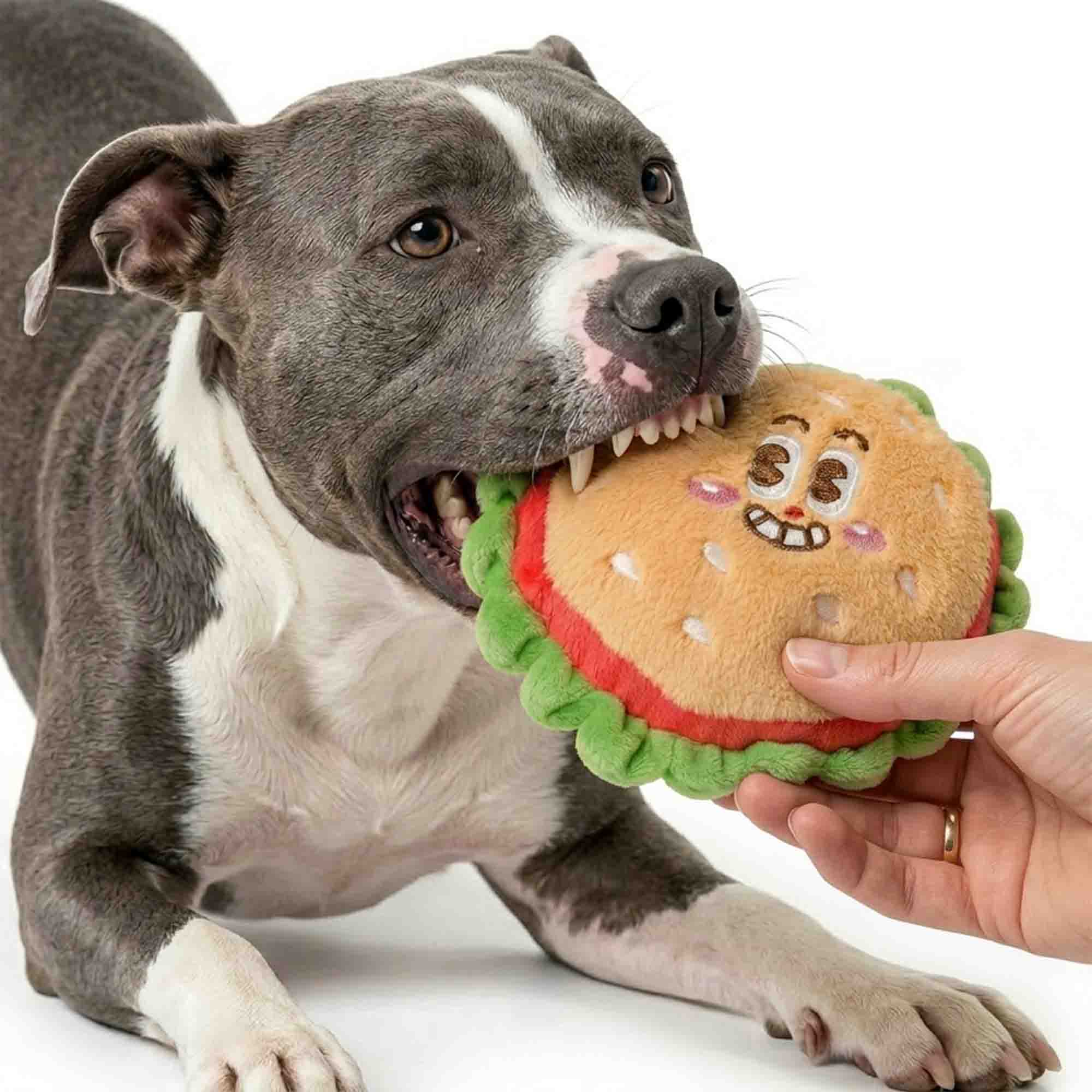 Dog carrying burger plush dog toy in mouth – adorable squeaky plush toy for fetch, tug, snuggle, and everyday fun