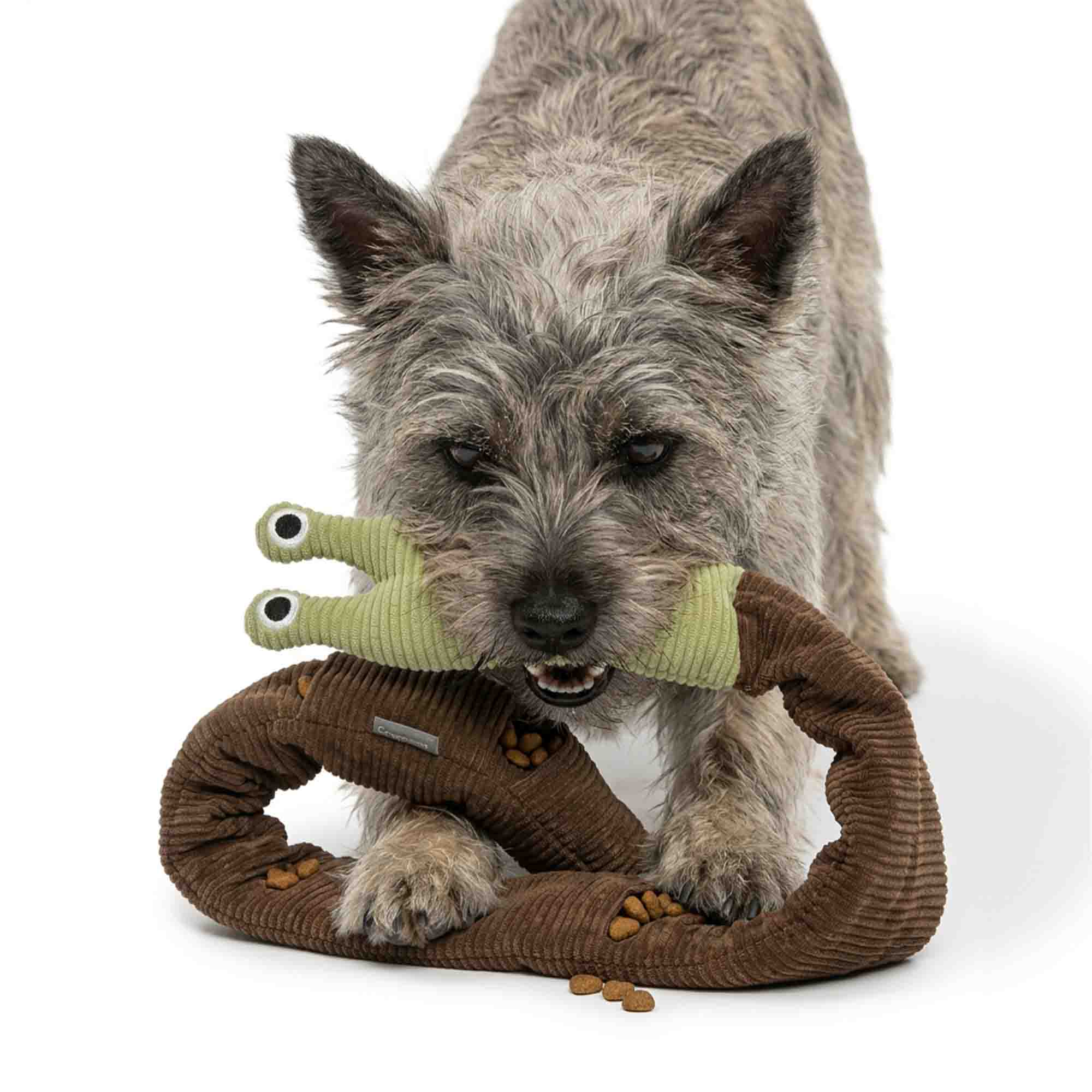 Dog carrying squeaky snail treat dispenser toy in mouth – built-in squeaker activates with every bite for exciting interactive play