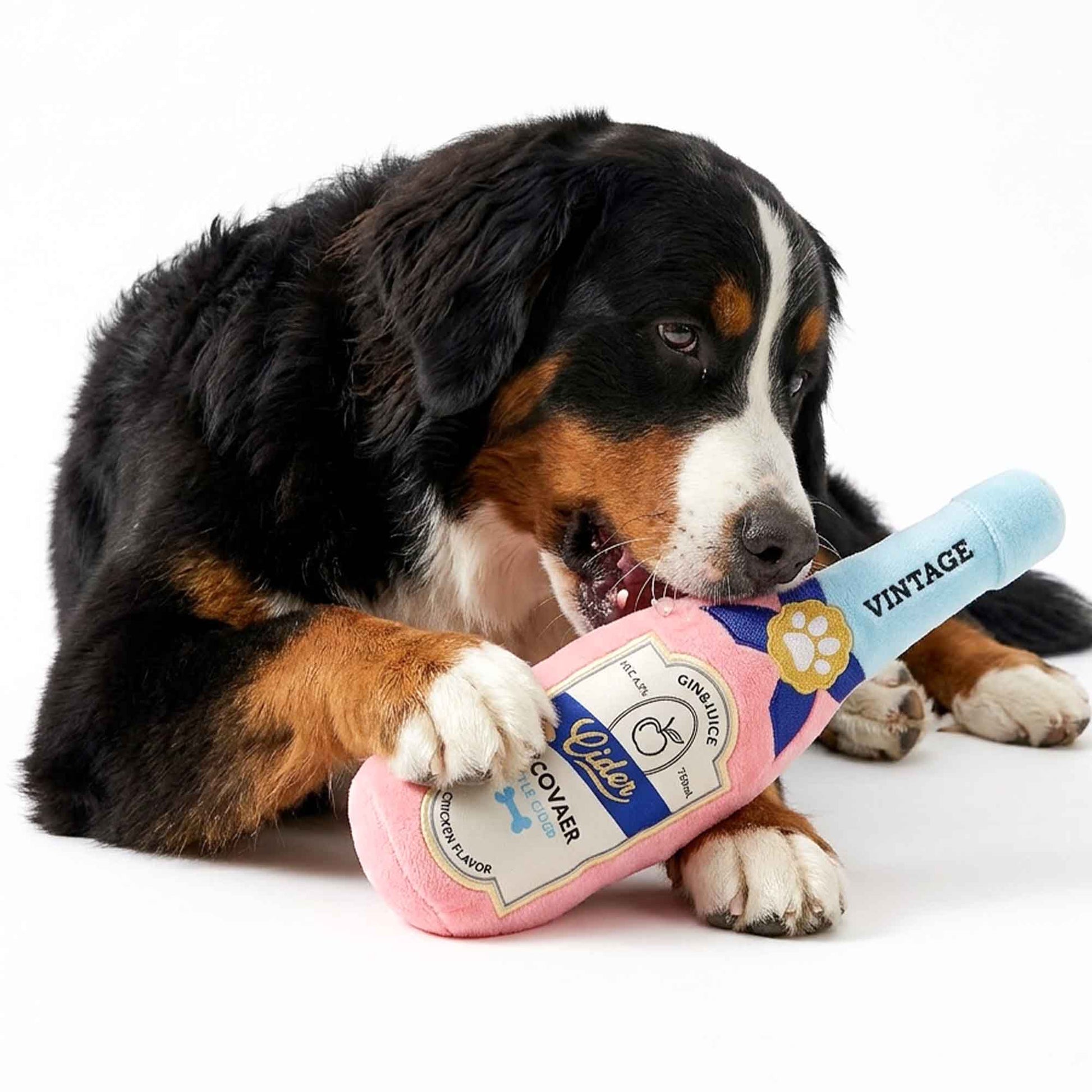 Happy dog playing with hilarious pink cider plush bottle toy – perfect for medium and large breeds