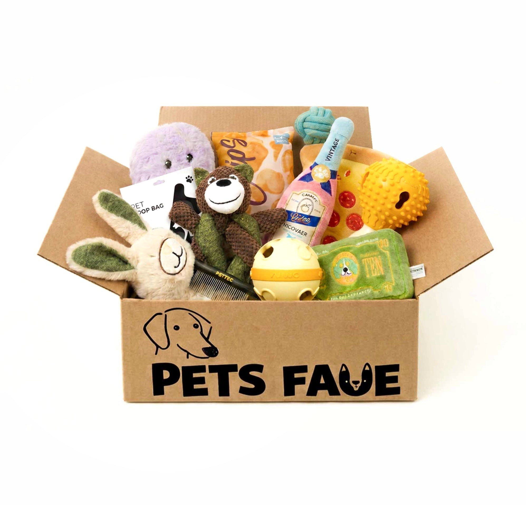 Dog toy bundle gift box featuring plush toys, interactive toys, chew toys, and accessories curated for different play experiences