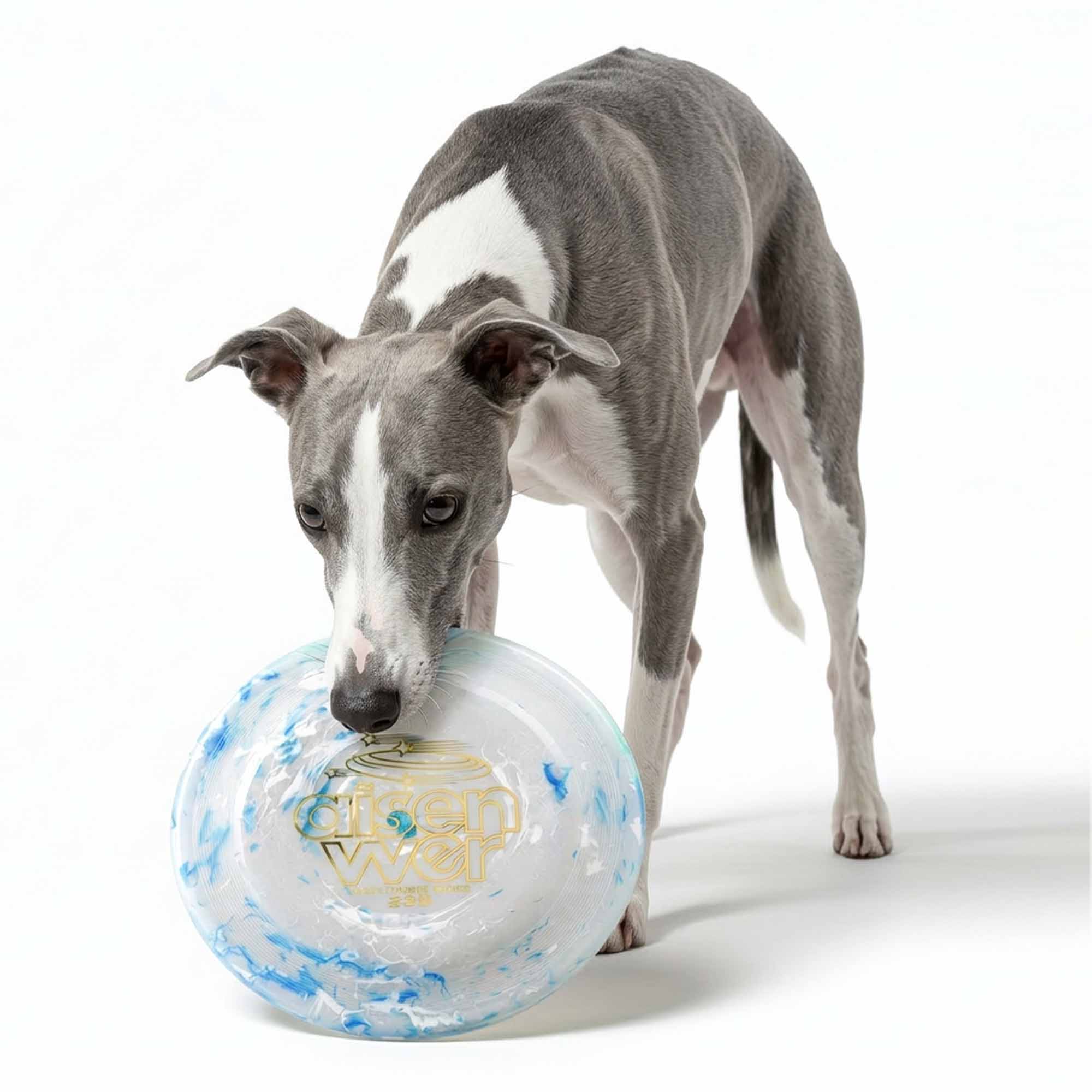 Greyhound dog jumping with blue frisbee dog toy in mouth – premium PE flying disc designed for longer, higher throws and secure catches during active play