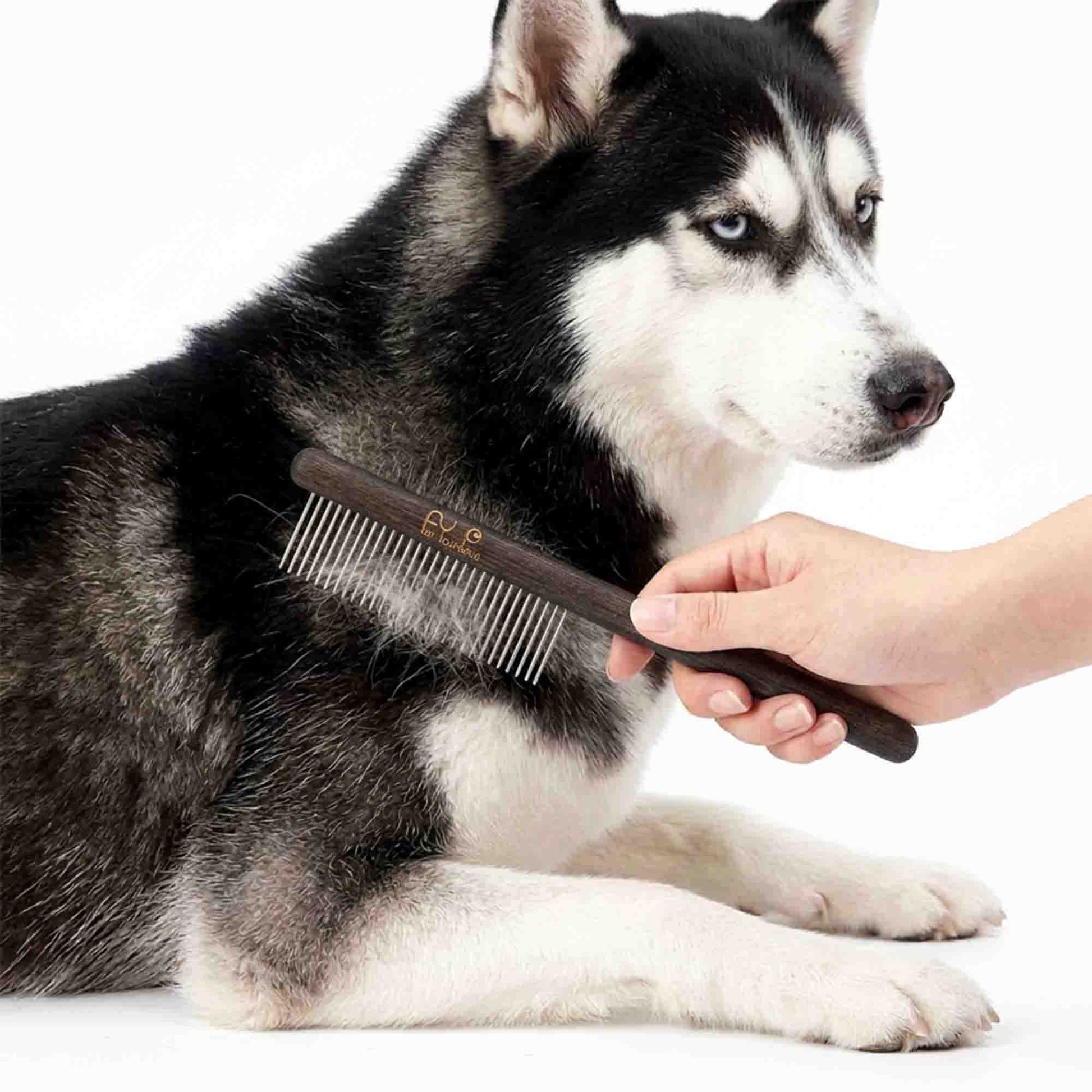 Happy Husky enjoying grooming with black pet brush – gentle rounded pins massage skin while removing dead hair and tangles