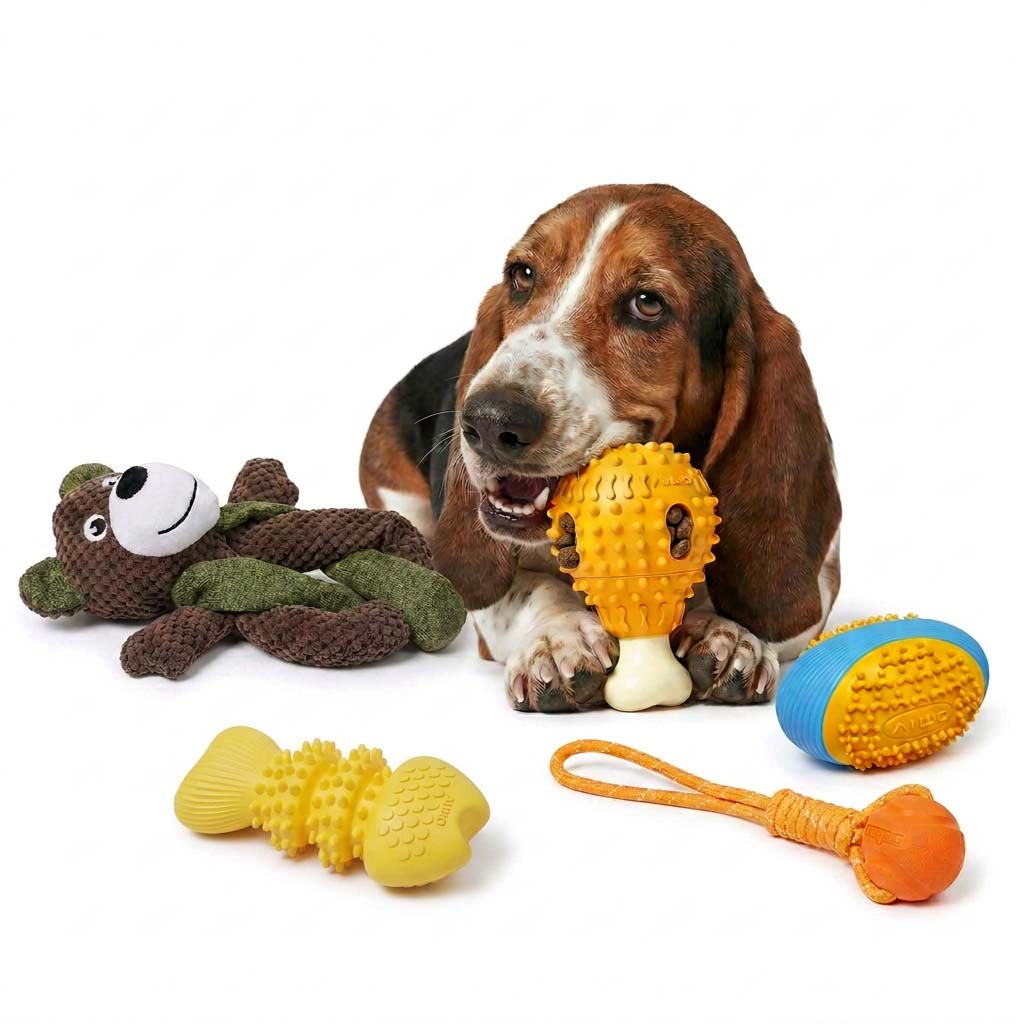 Hound dog playing with interactive chew toys and enrichment toys designed to support natural instincts, curiosity, and active play