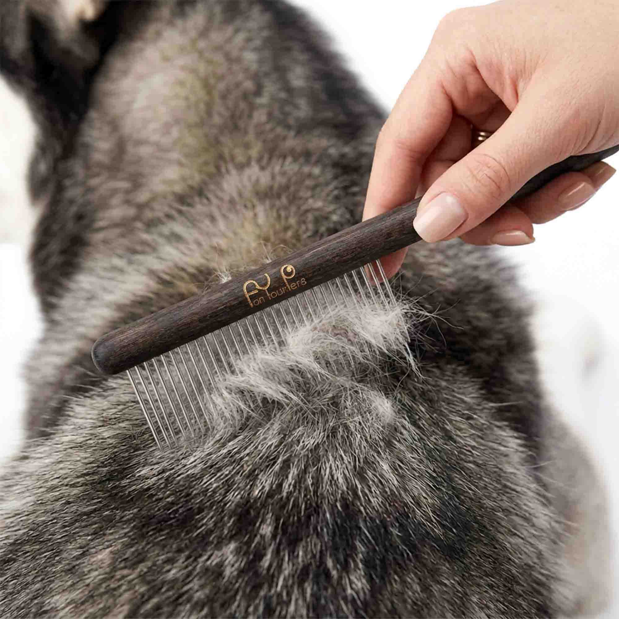 Grooming a Husky with professional pet brush – stainless steel pins remove loose undercoat and reduce shedding effectively