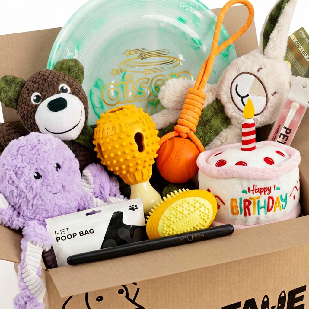 Family dog toy bundle with plush toys, rubber chew toys, and interactive accessories designed for everyday play and enrichment