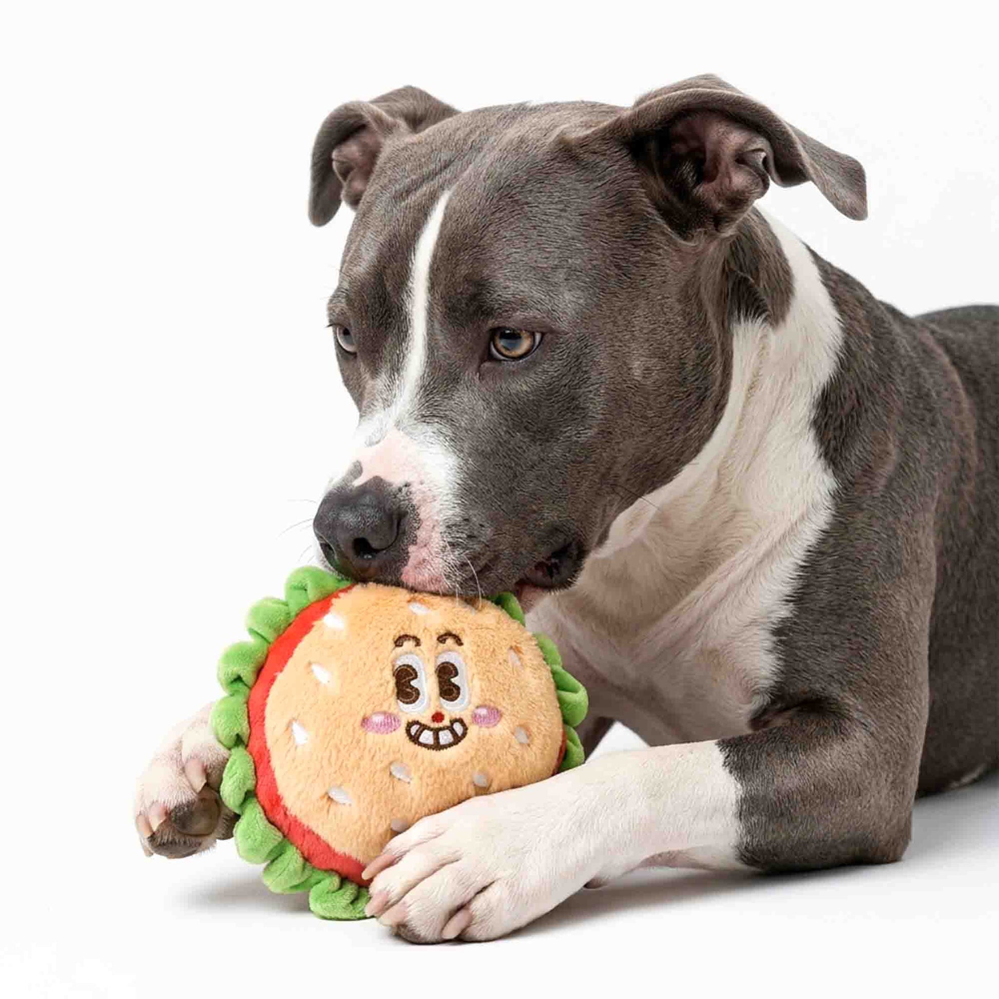 Dog chewing cute burger plush dog toy – soft, squeaky plush provides emotional comfort, gentle play, and dental-friendly texture