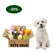 Complete puppy toy gift box with plush toys, interactive toys, and enrichment accessories designed for happy everyday play