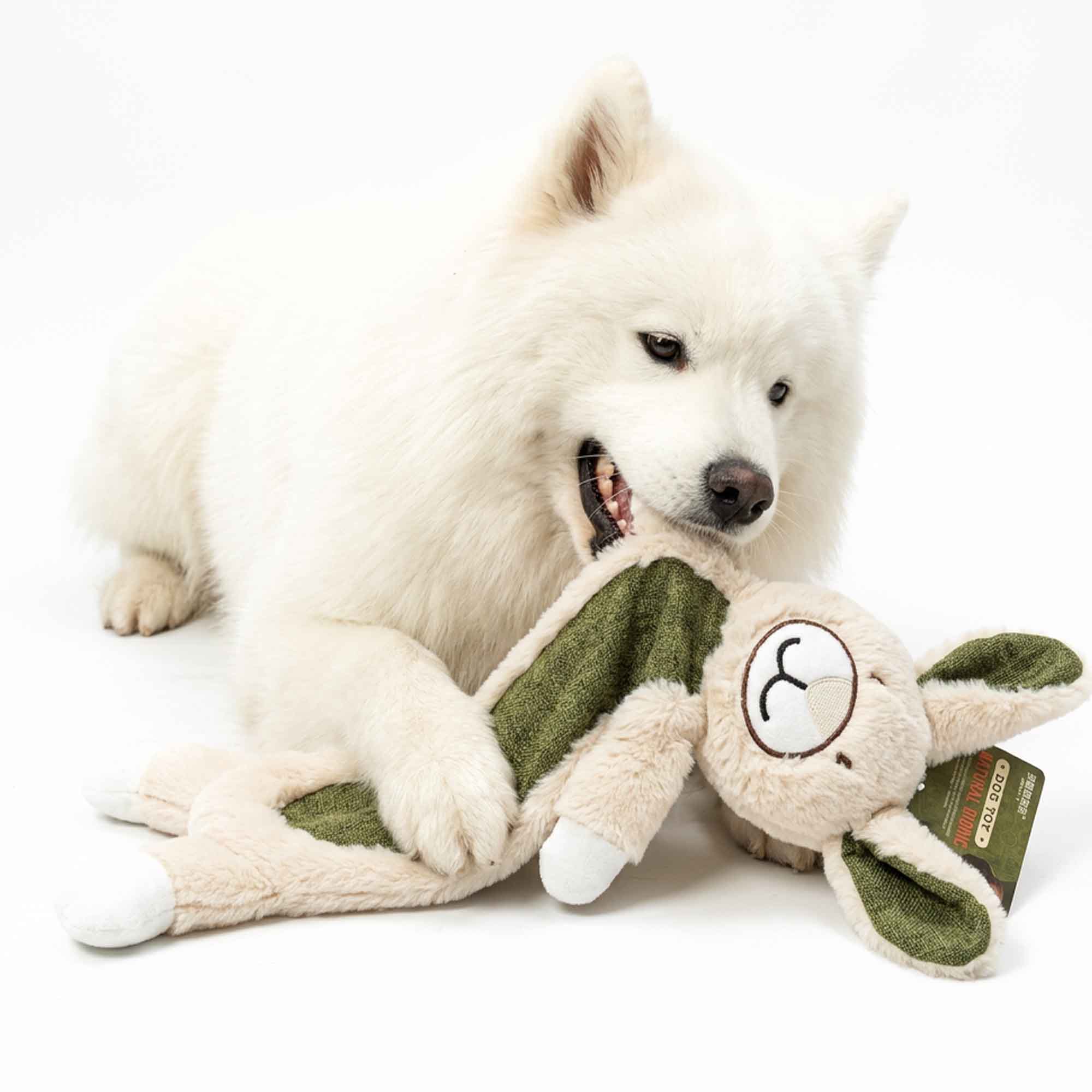 Samoyed dog playing with soft squeaky bear plush toy in brown and green – perfect for active play, emotional comfort, and gentle snuggle fun by PetsFave