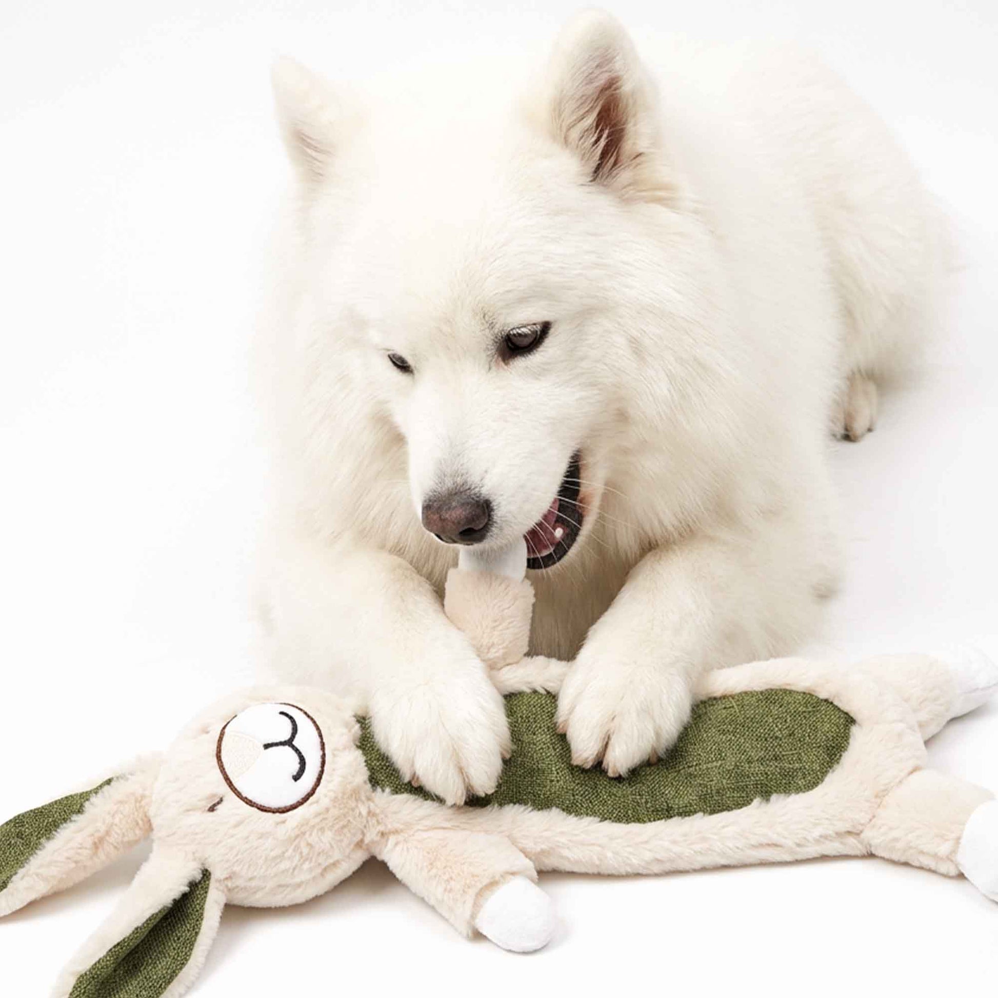 Samoyed dog cozily snuggling with squeaky bear plush toy and bunny companion – ultra-soft faux fur for emotional security, gentle dental texture, and safe relaxation at home