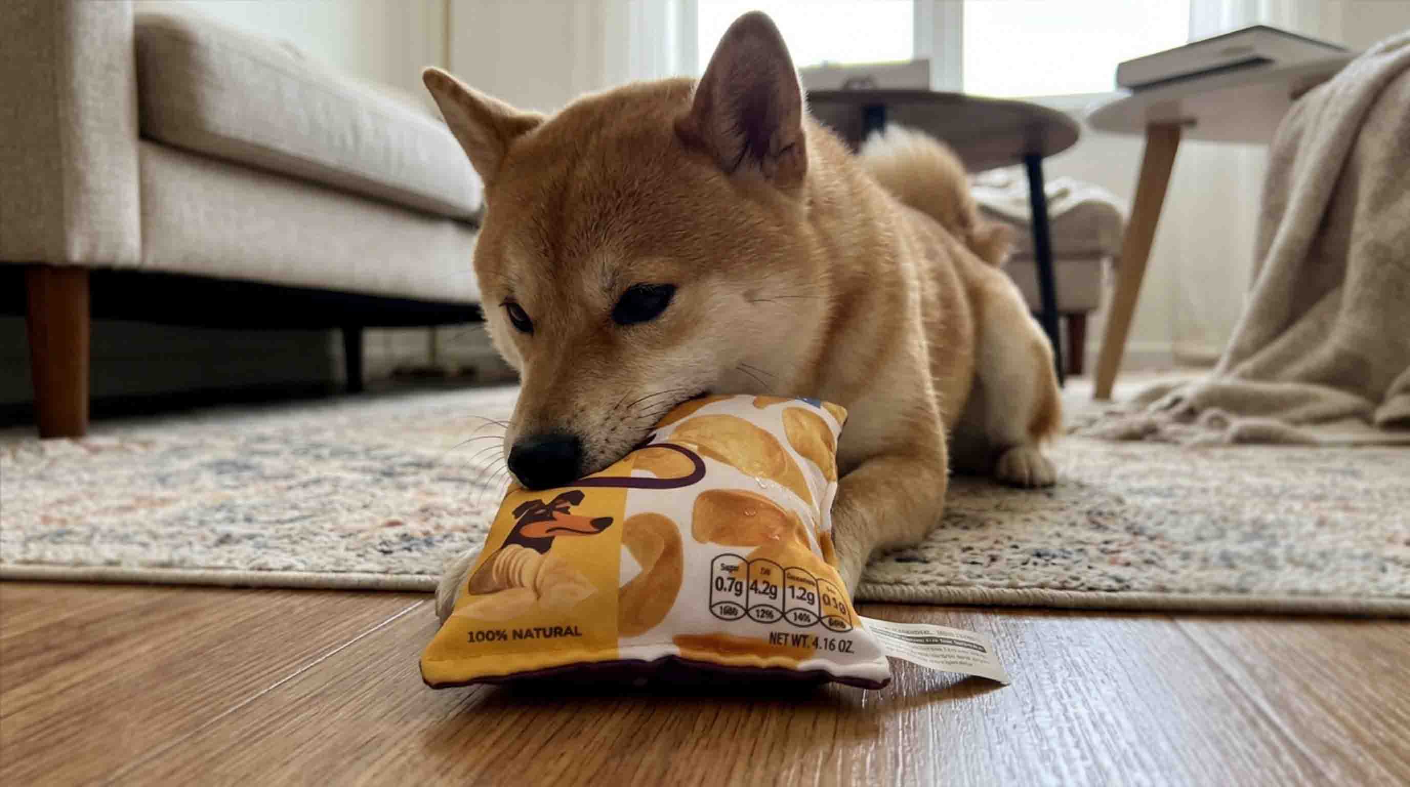 Pets Fave