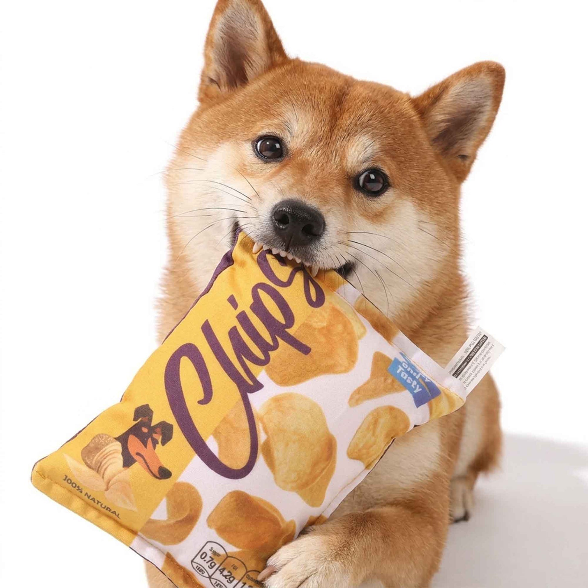 Shiba Inu dog playing with yellow chips bag plush dog toy – soft squeaky crinkle plush provides engaging fun, comfort, and gentle chewing