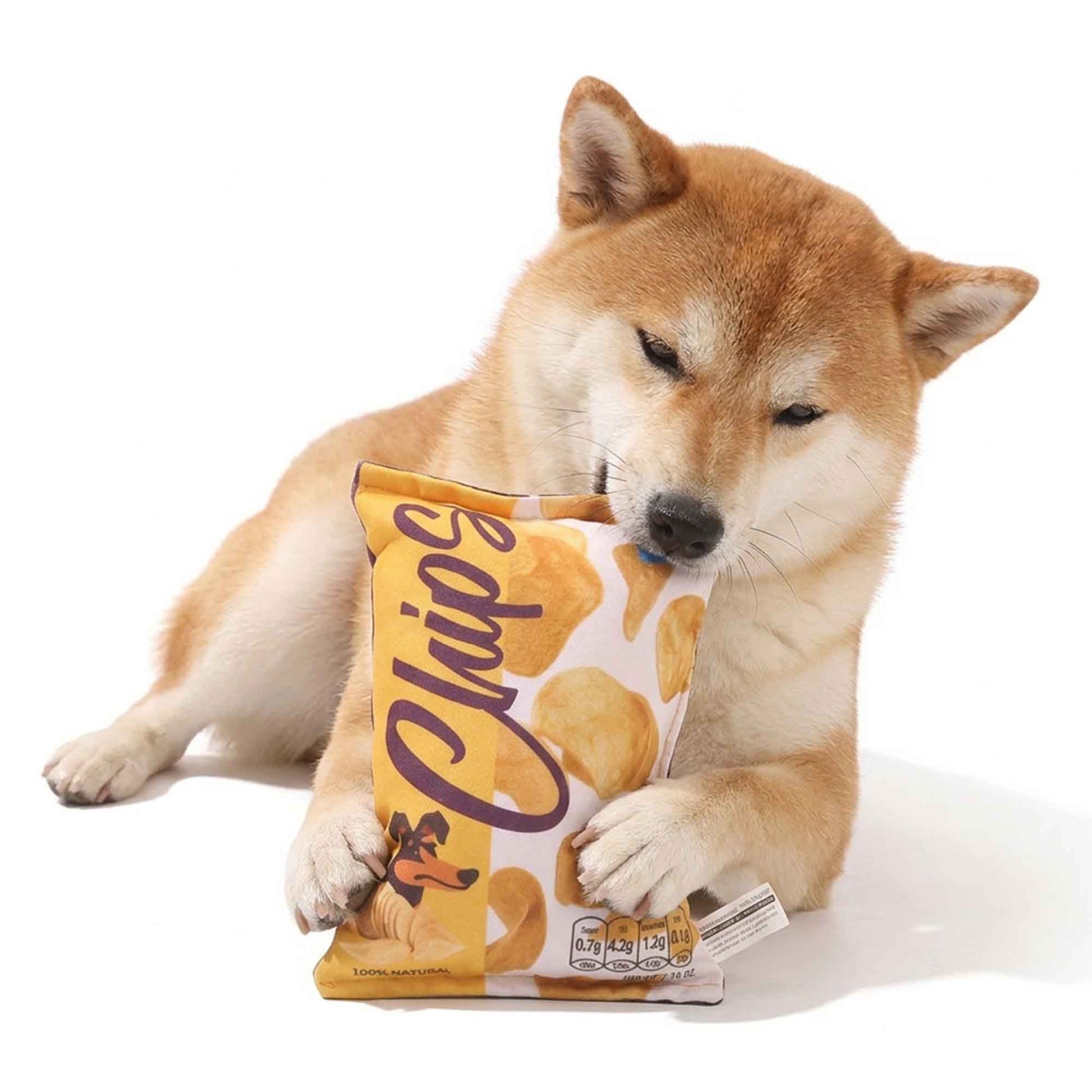 Shiba Inu dog excitedly playing with yellow chips bag plush dog toy – soft squeaky crinkle plush for fun fetch, chewing, and interactive play by PetsFave