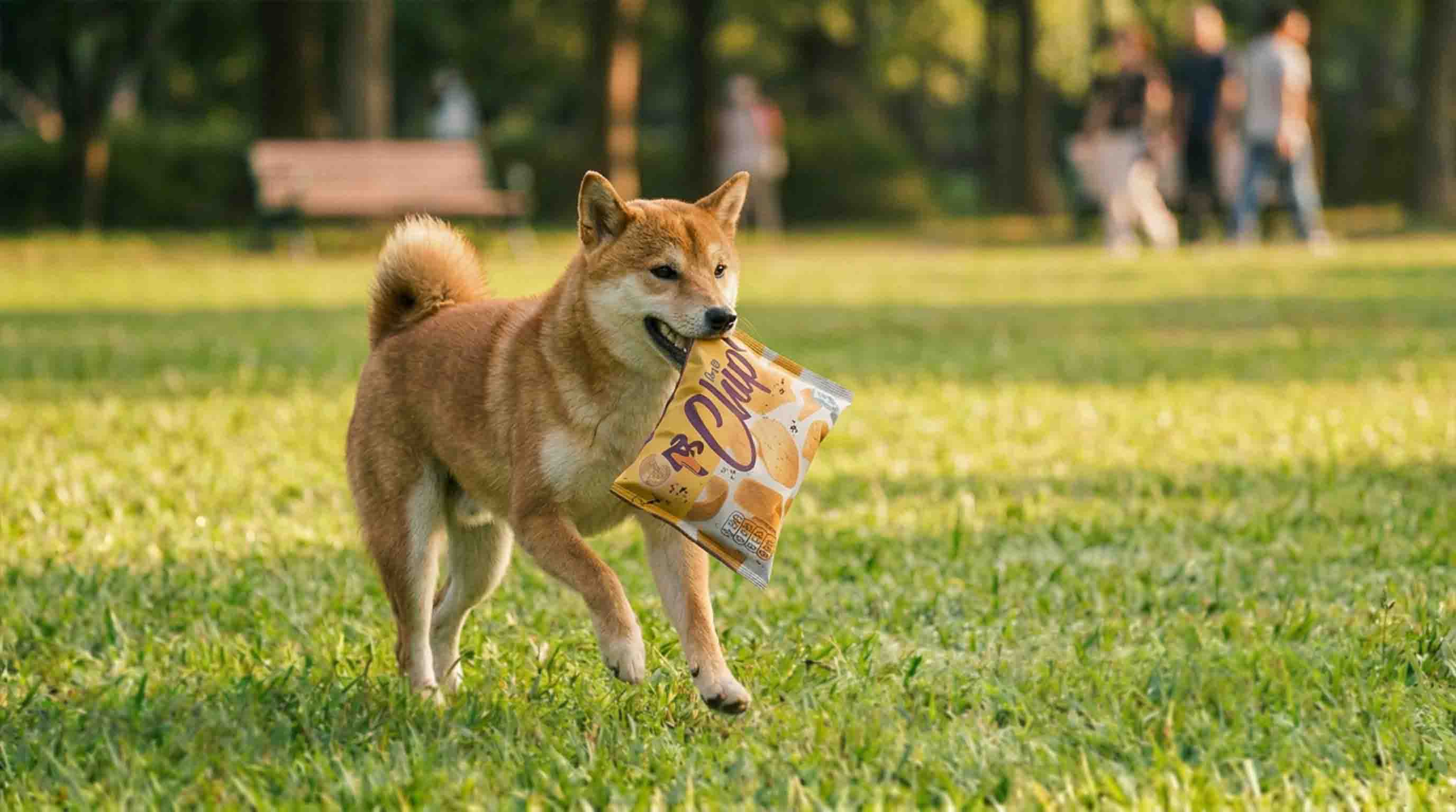 Pets Fave