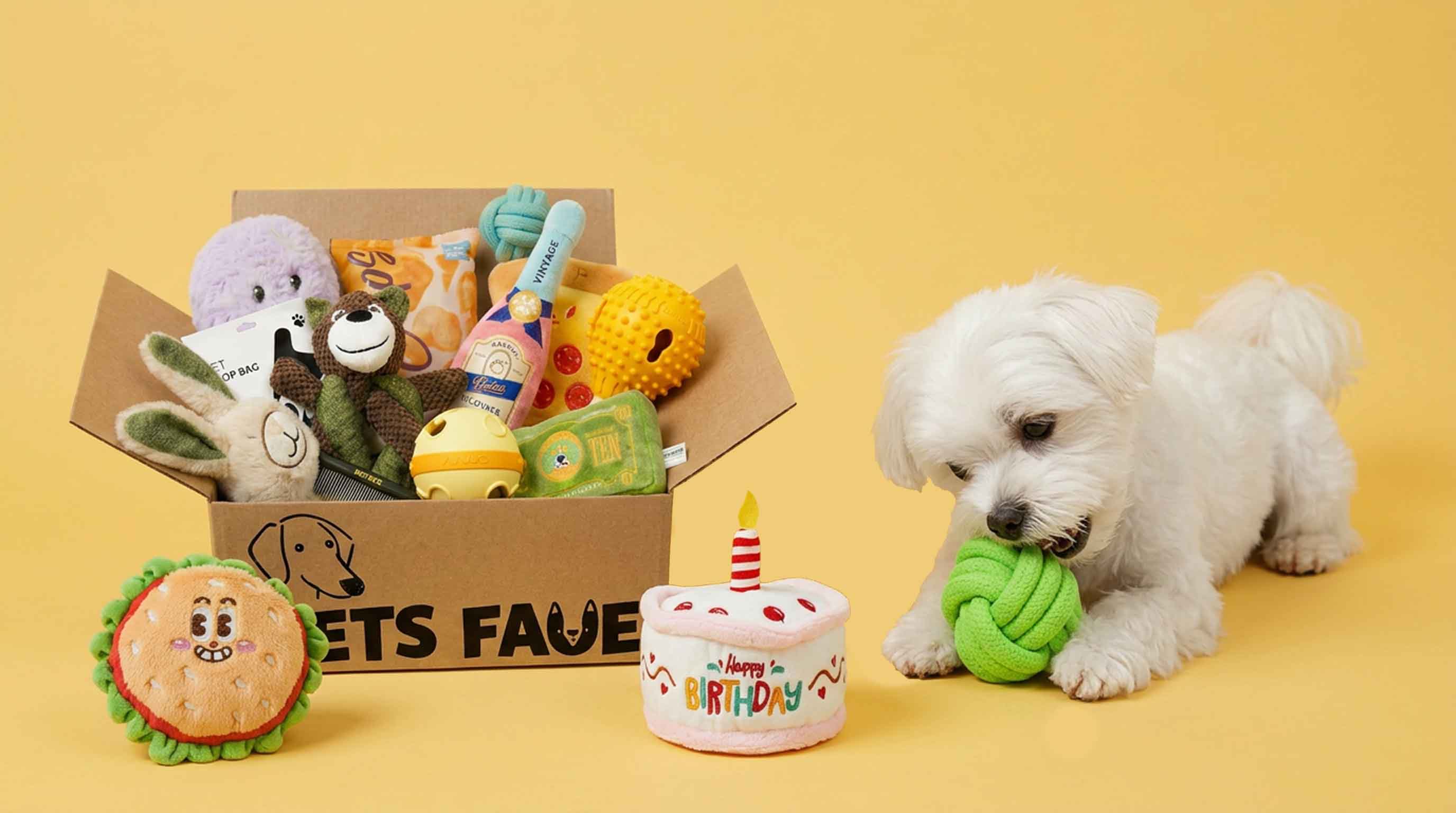 Small white dog playing with green rope toy next to open Pets Fave box filled with Toy Group dog toys bundle, including birthday cake, hamburger plush and bear toy