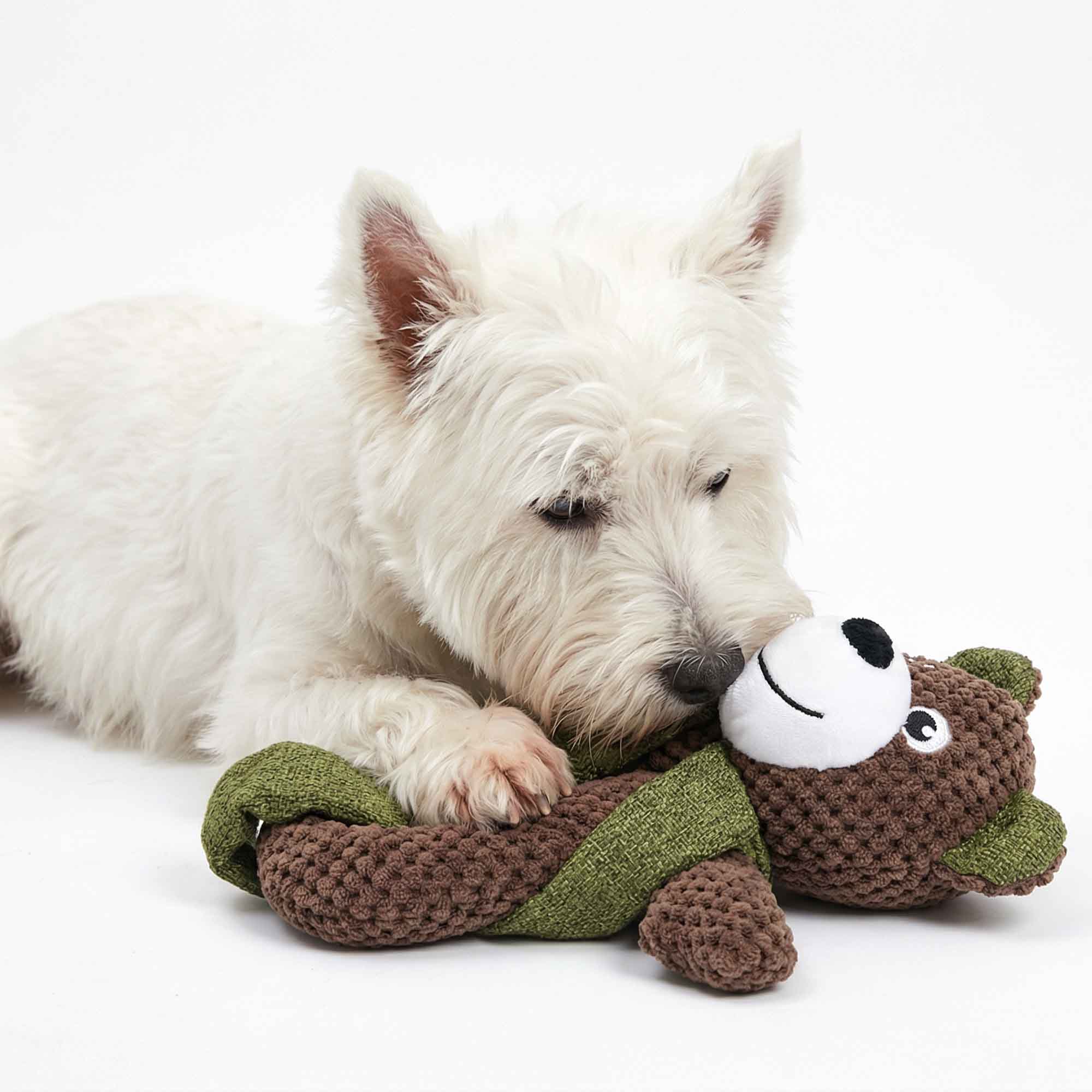 Westie dog snuggling with soft squeaky bear plush toy on floor – provides emotional security and gentle teeth cleaning during relaxed play