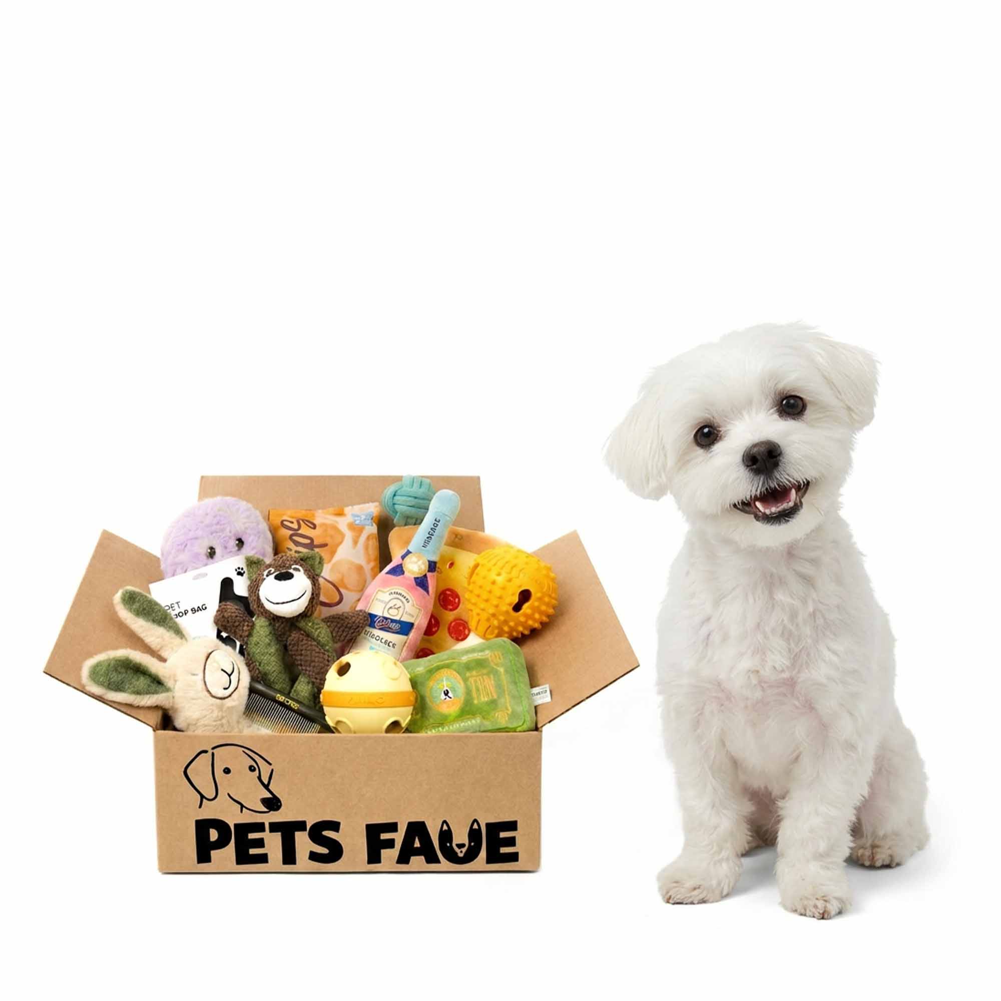 Happy white Maltese dog sitting beside PetsFave toy bundle box filled with colorful plush toys, balls, and party-themed dog accessories