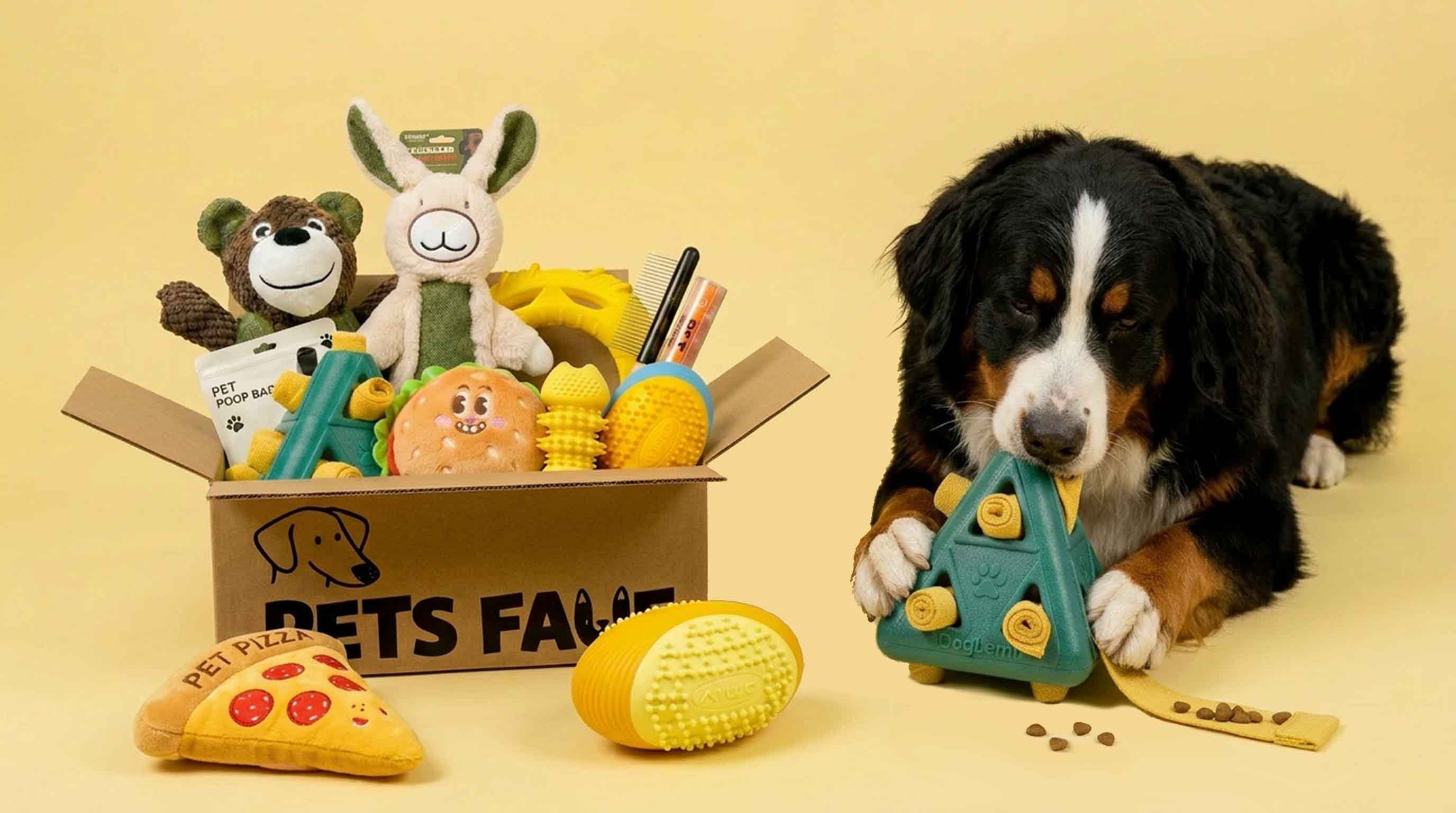 Bernese Mountain Dog playing with green puzzle toy next to open Pets Fave box filled with Working Group dog toys bundle, featuring plush toys, chew toys, and hamburger plush